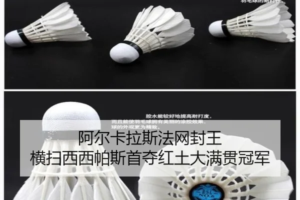 a-er-ka-la-si-fa-wang-feng-wang-heng-sao-xi-xi-pa-si-shou-duo-hong-tu-da-man-guan-guan-jun-3-205.jpg